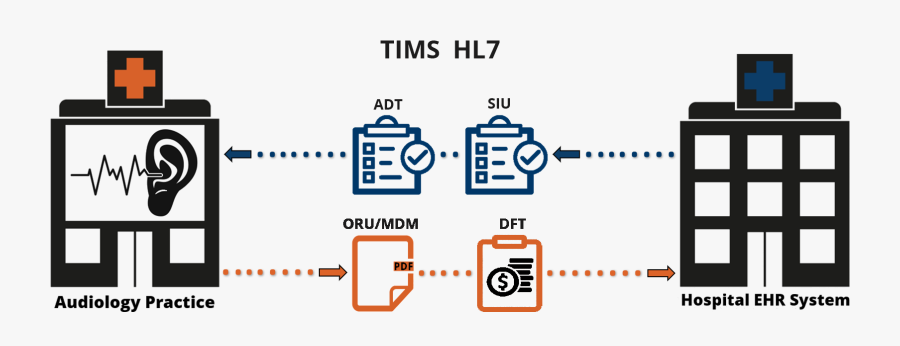 Diagram, Transparent Clipart