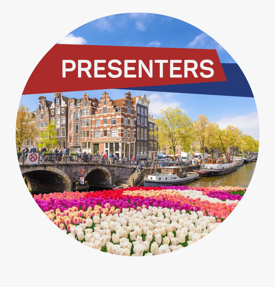 Tulip Amsterdam, Transparent Clipart