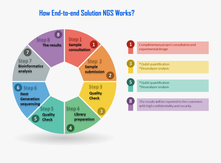Ngs Service - Time And Attendance Process, Transparent Clipart