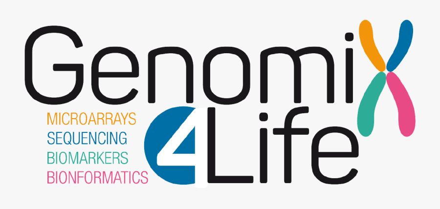 Graphic Design, Transparent Clipart