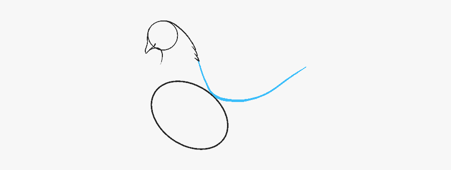 How To Draw Dove - Line Art, Transparent Clipart
