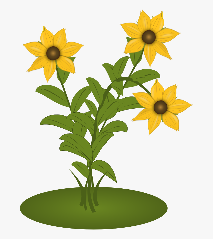 Black Eyed Susan Flower Svg, Transparent Clipart