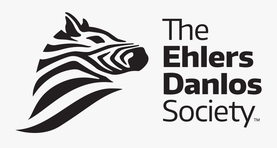 Zebra, Transparent Clipart