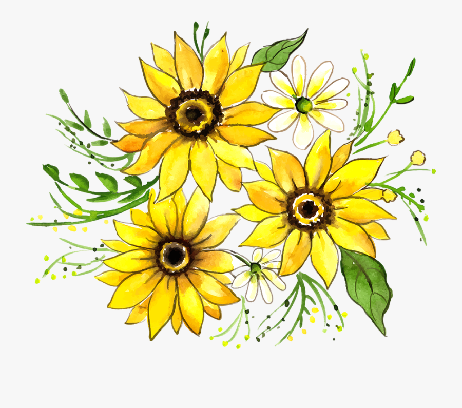 Black-eyed Susan, Transparent Clipart