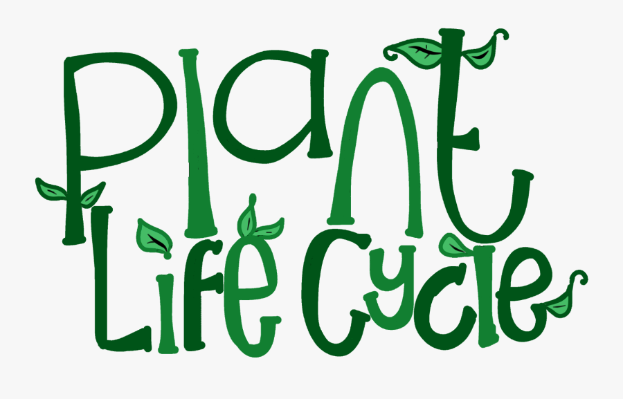 Free Free Plant Life Cycle Svg 721 SVG PNG EPS DXF File