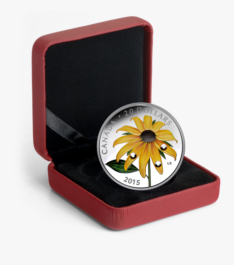 Canadian Money Glow In The Dark, Transparent Clipart