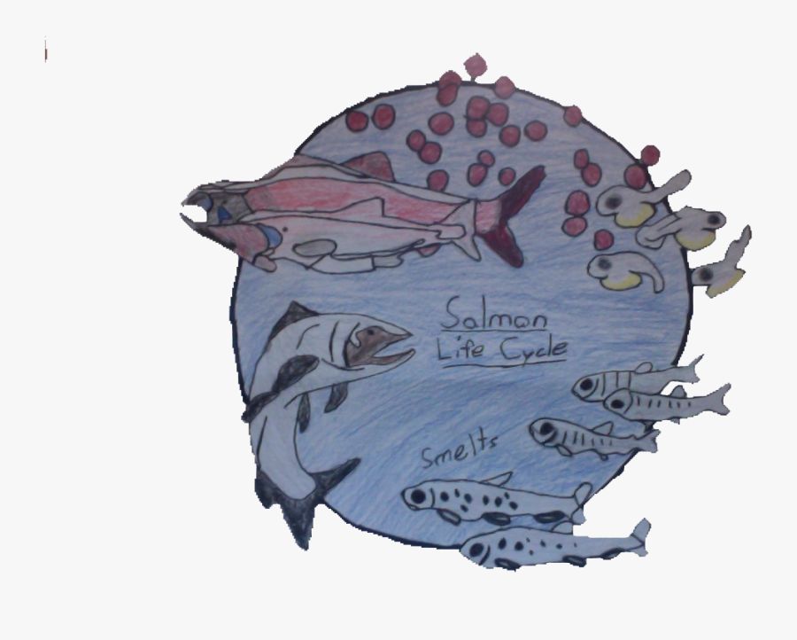 Cartoon, Transparent Clipart