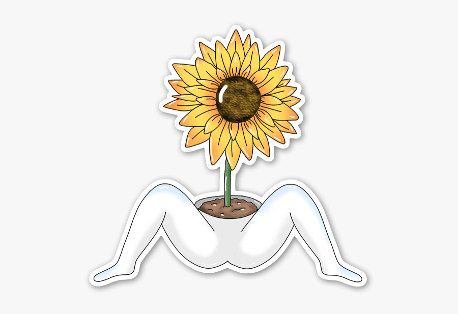 Sunflower Sticker, Transparent Clipart