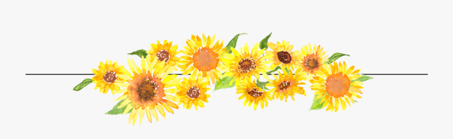 Curves Graphic For Fall Open House - Black Eyed Susan Png, Transparent Clipart