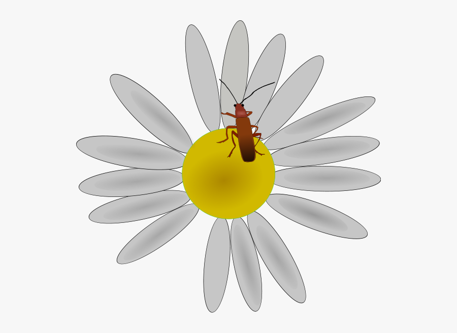 Bug On A Flower Png Clip Arts - Clipart Bug On A Flower, Transparent Clipart