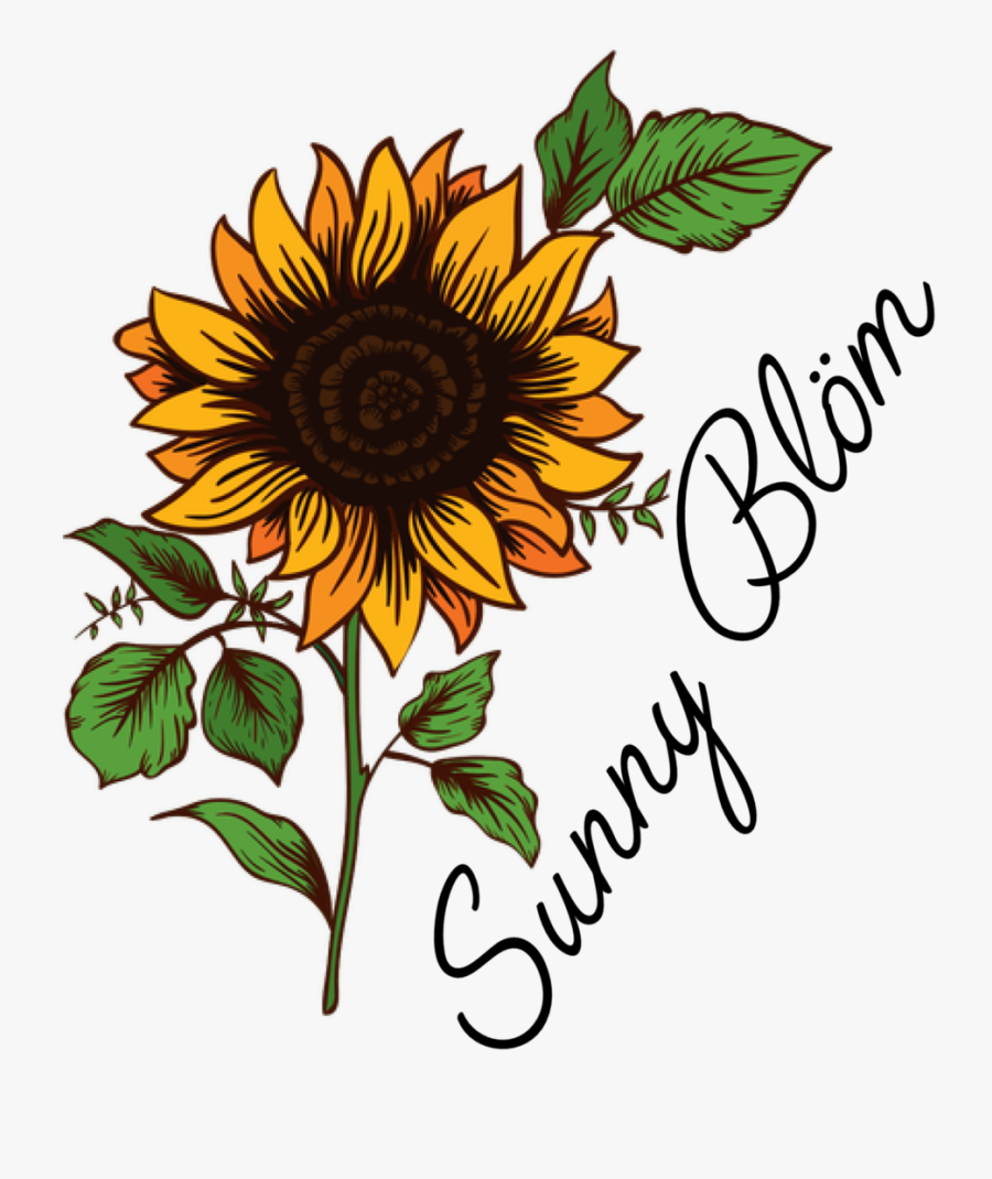 Sunflower Drawing Png, Transparent Clipart