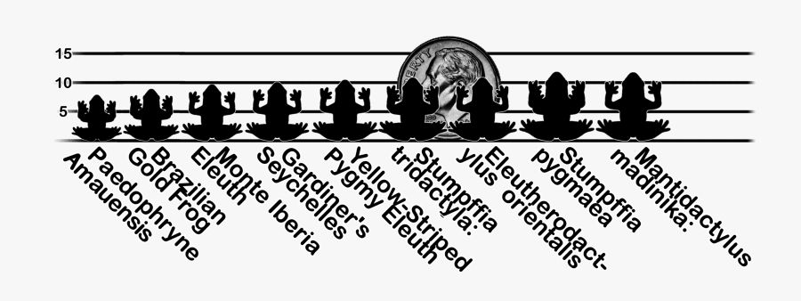 Brazilian Gold Frog, Transparent Clipart