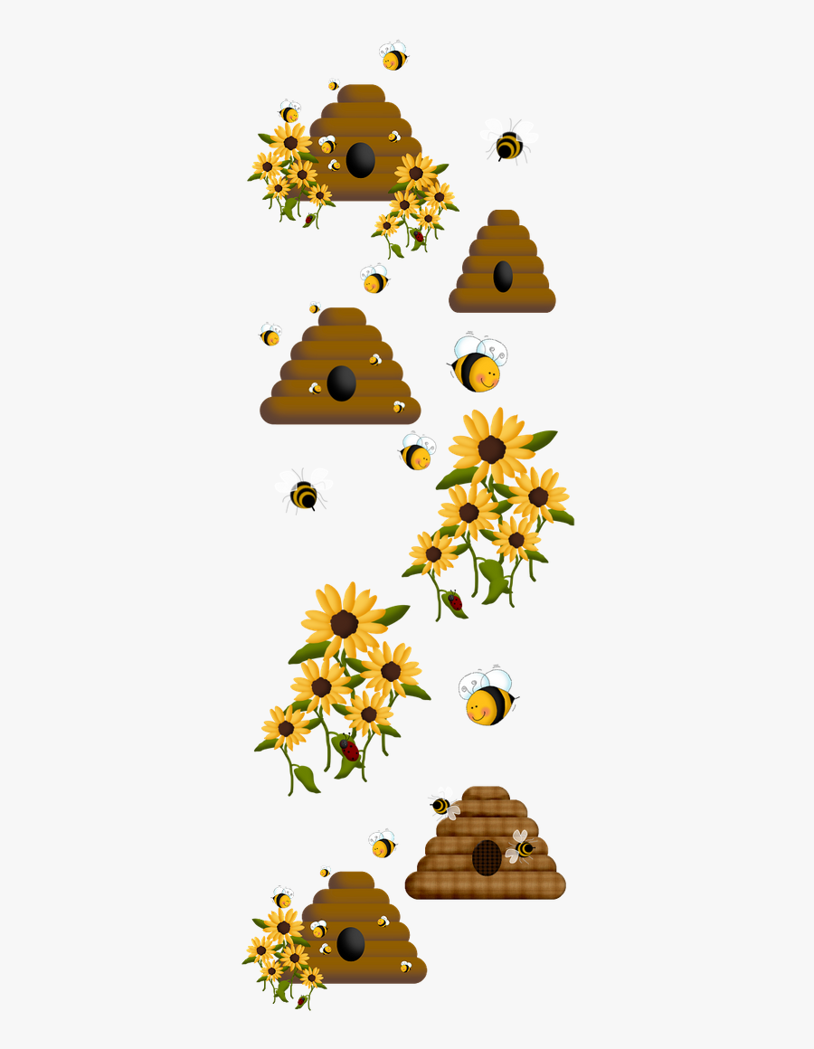 Black-eyed Susan, Transparent Clipart