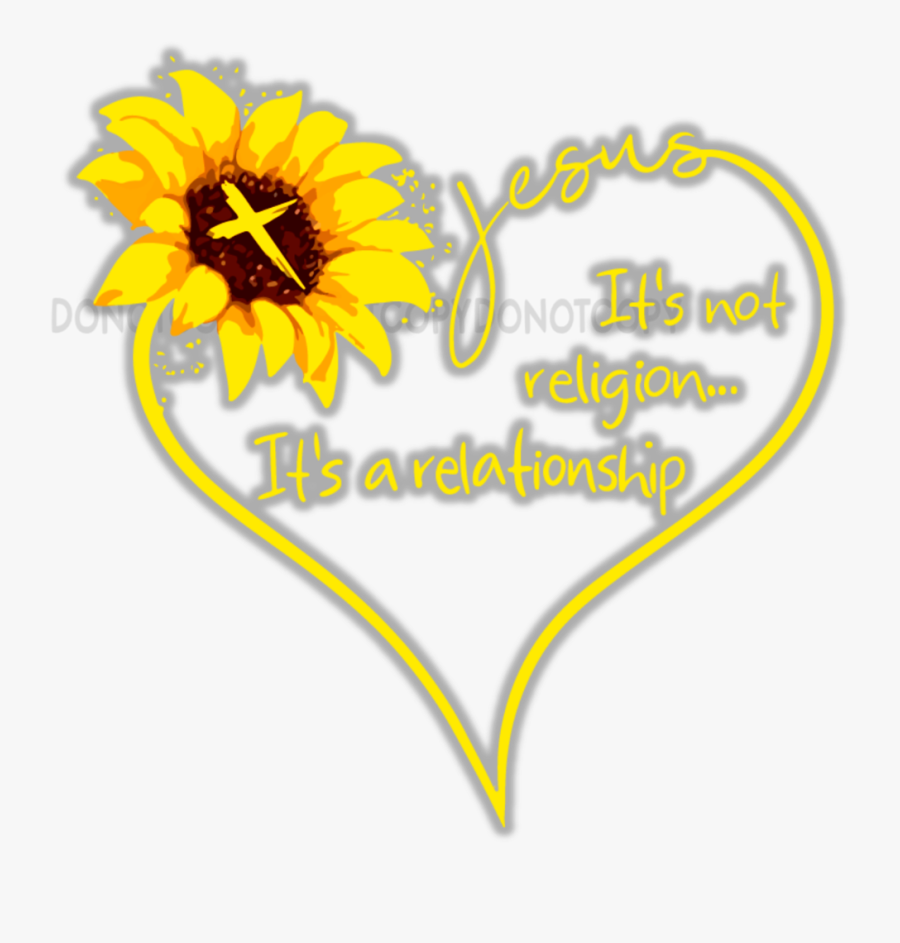 Black-eyed Susan, Transparent Clipart