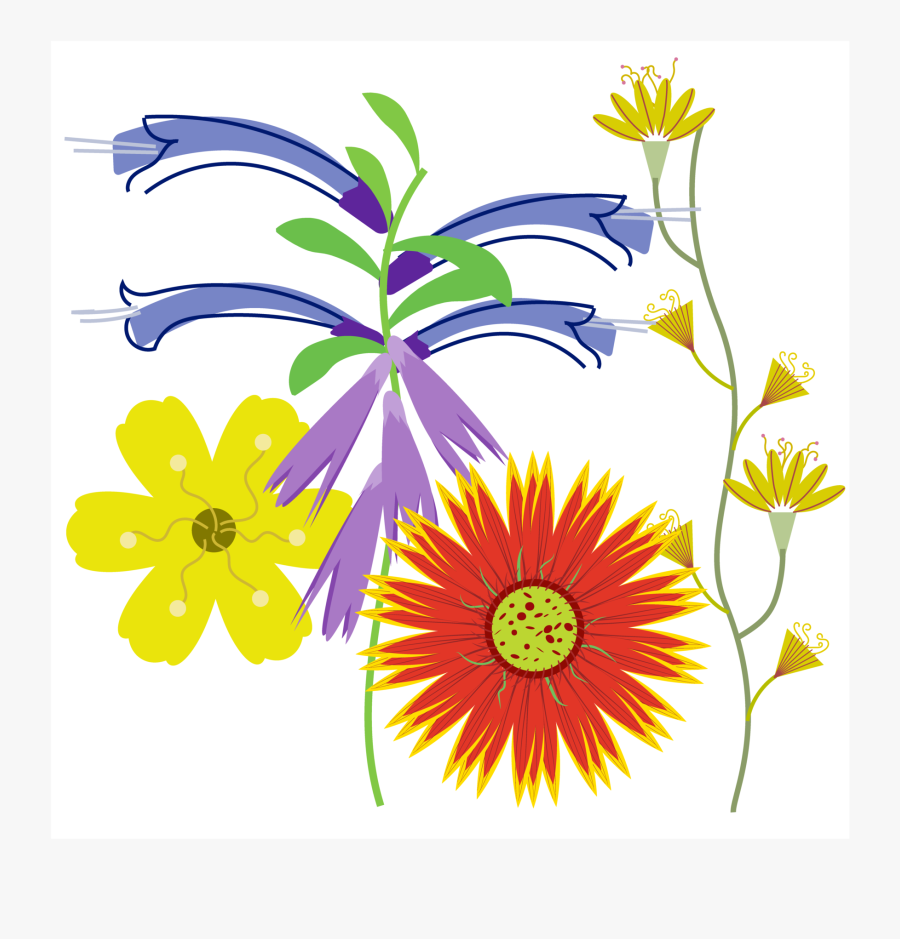 Black-eyed Susan, Transparent Clipart