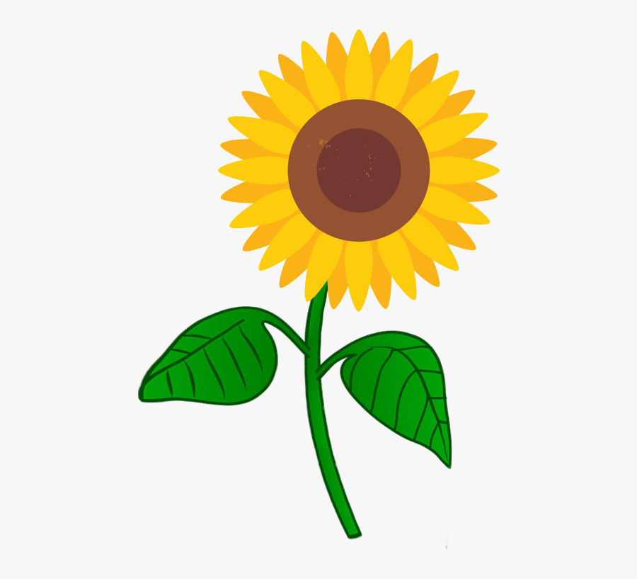 Seedling Clipart Tobacco Plant - Golden Seal Transparent, Transparent Clipart
