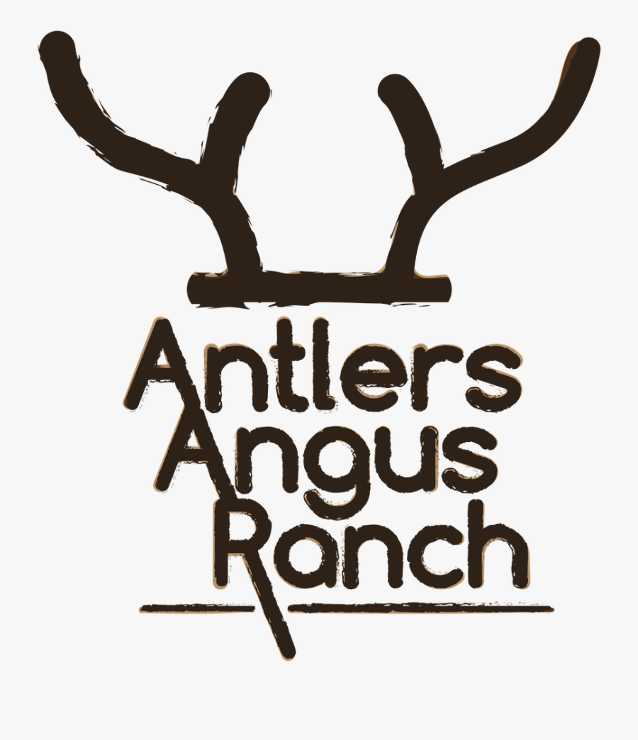 Transparent Antlers Png, Transparent Clipart