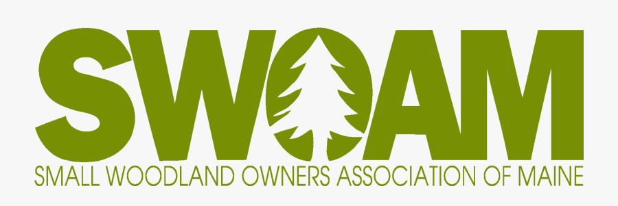 Stem Logo Png, Transparent Clipart