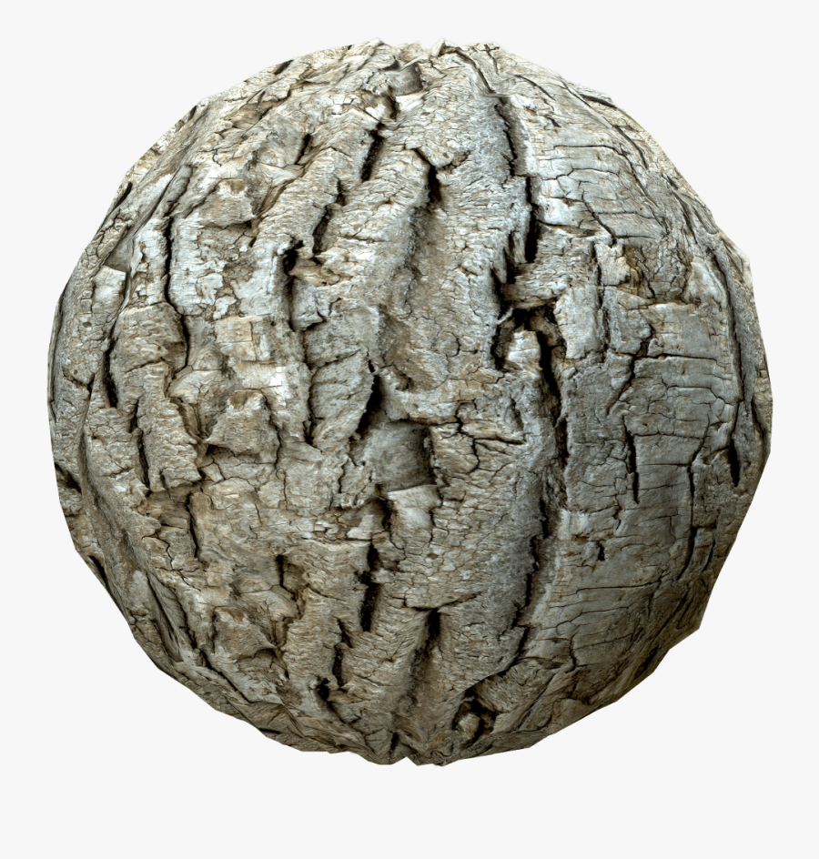 Transparent Tree Bark Texture Png - Artifact, Transparent Clipart