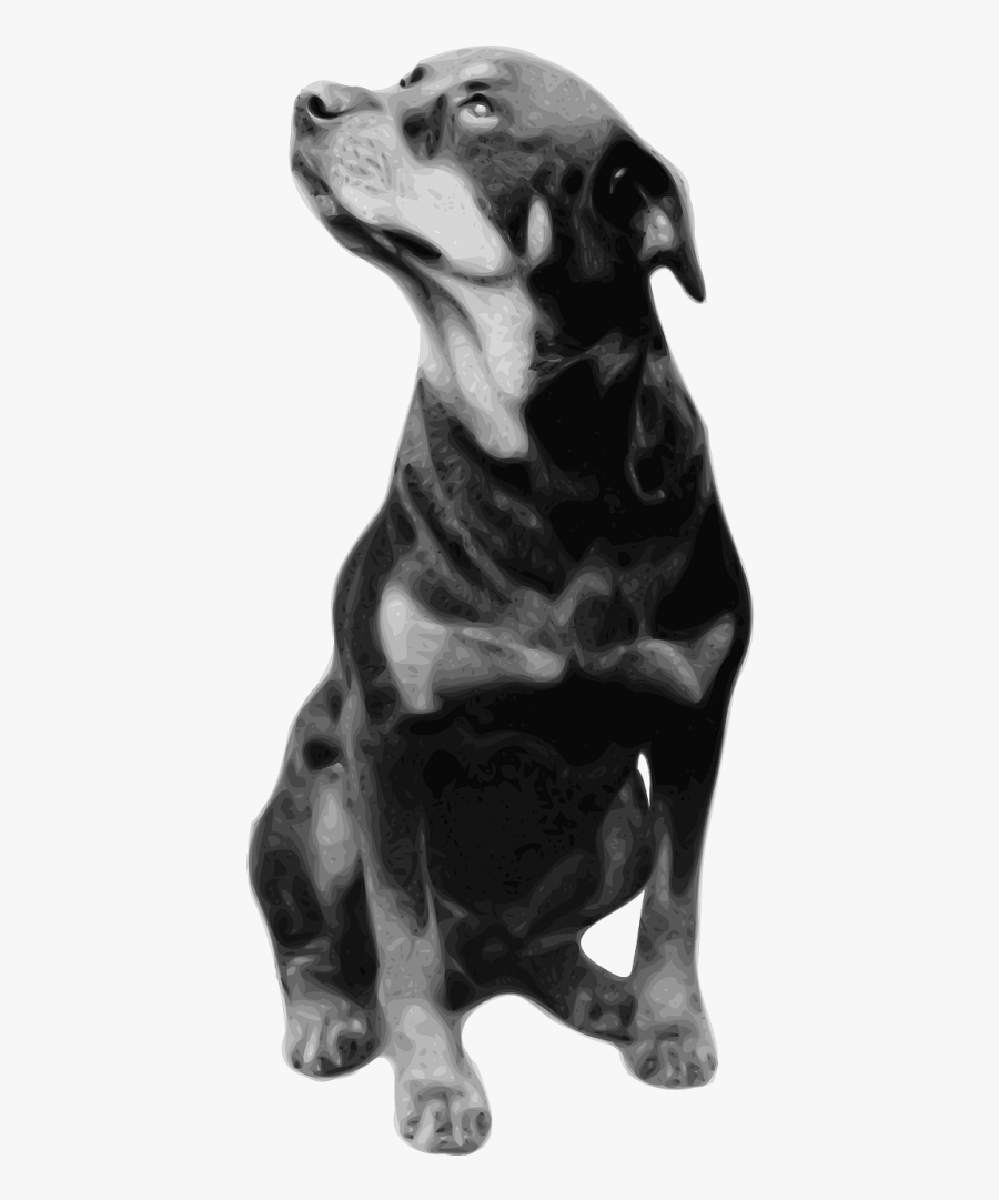 Rottweiler Svg Clip Arts - Rottweiler Drawing Sitting, Transparent Clipart