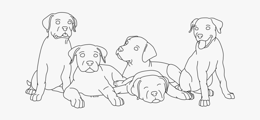 Clipart Face Rottweiler - Line Art, Transparent Clipart