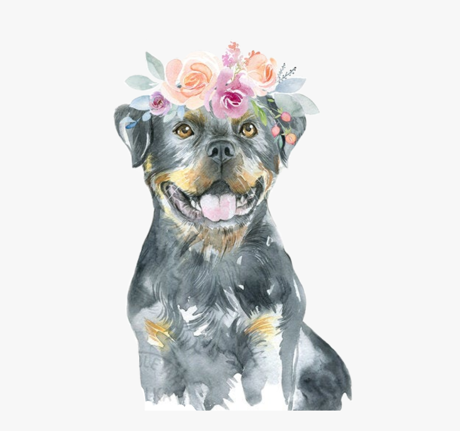 Watercolor Animal Dog Puppy Rottweiler Freetoedit - Rottweiler, Transparent Clipart