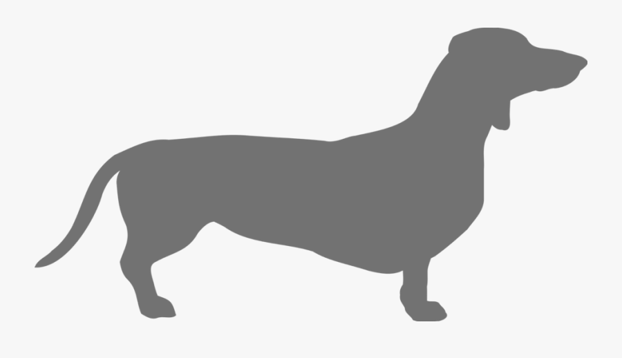 Grey Dachshund - Transparent Background Dachshund Clipart, Transparent Clipart