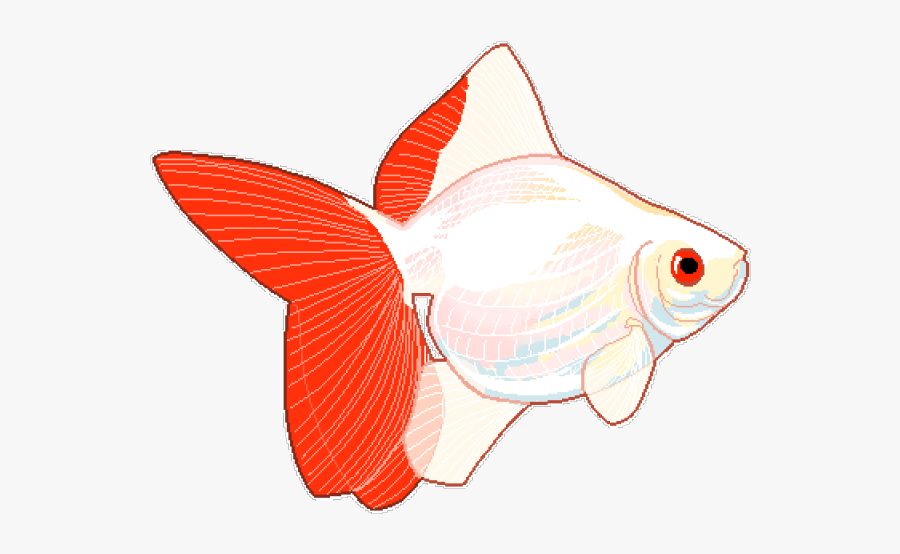 Goldfish Clipart Transparent Tumblr - Fish Png, Transparent Clipart