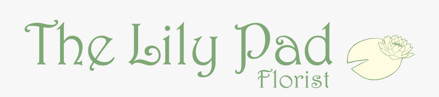 Calligraphy, Transparent Clipart