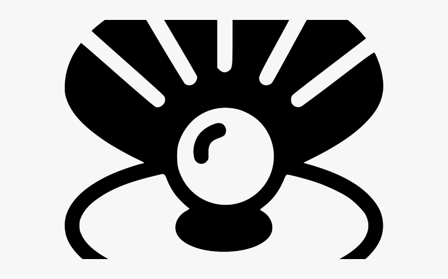 Drawn Shell Beach Shell, Transparent Clipart