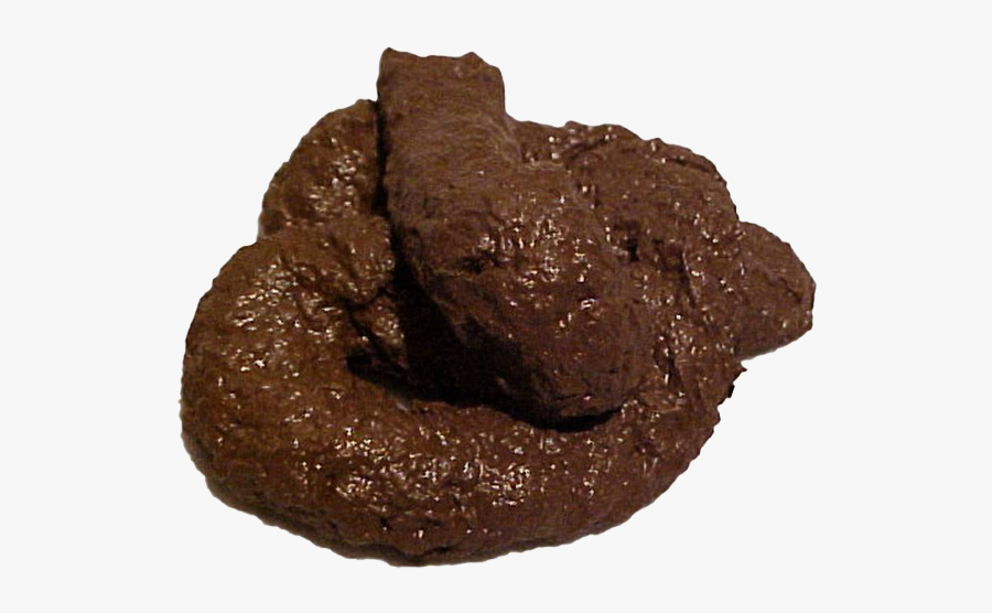 Poop Png Images Free Download Poop Png , Free Transparent Clipart