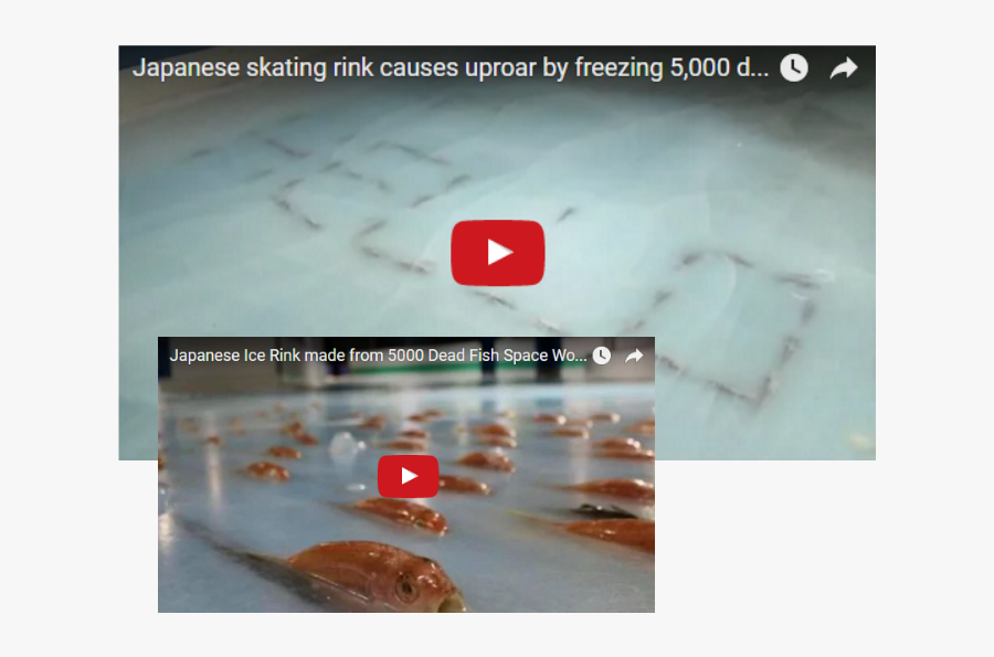 Japanese Skating Rink Causes Uproar By Freezing 5,000 - Japanese Theme Park Frozen Fish, Transparent Clipart