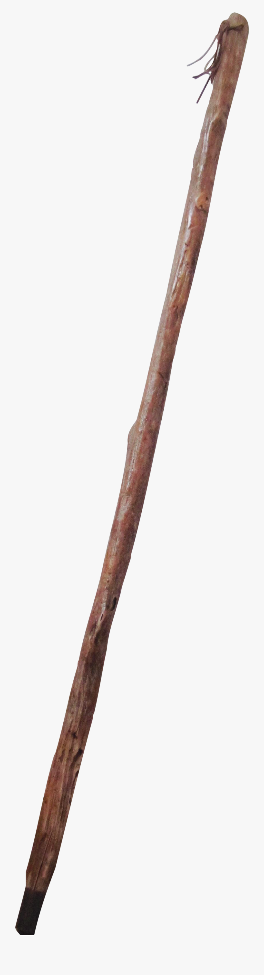 Walking Stick Png Transparent - Helice Roland Garros, Transparent Clipart