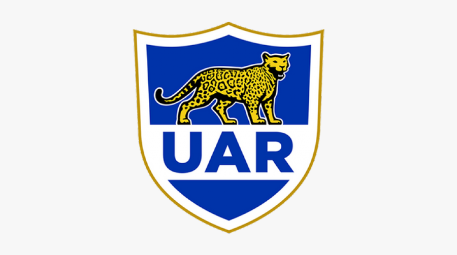 Argentina Clipart Cat - Argentine Rugby Union, Transparent Clipart
