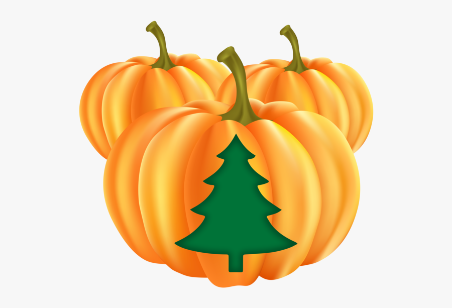 Jack-o'-lantern, Transparent Clipart