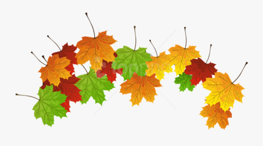 Free Png Download Fall Leaves Clipart Png Photo Png - Clipart Fall Flower Leaves, Transparent Clipart
