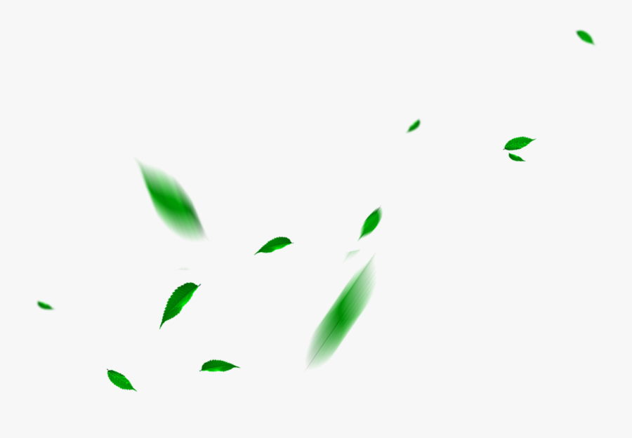 Green Maple Leaf - Falling Leaves Png Transparent, Transparent Clipart
