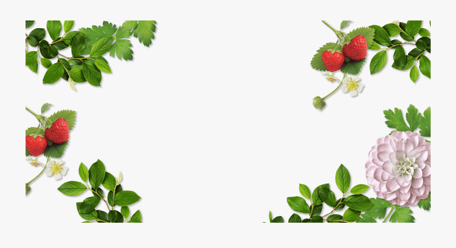 Image-1, Transparent Clipart