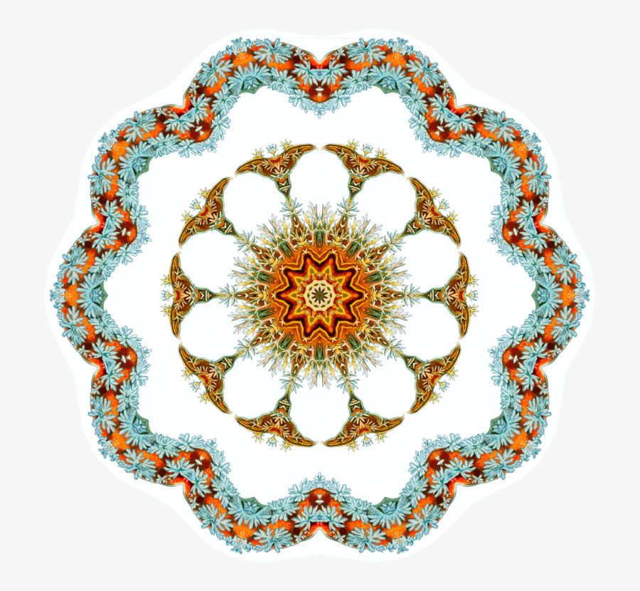 Visual Arts,flower,symmetry - Dirt Rally Mini Countryman, Transparent Clipart