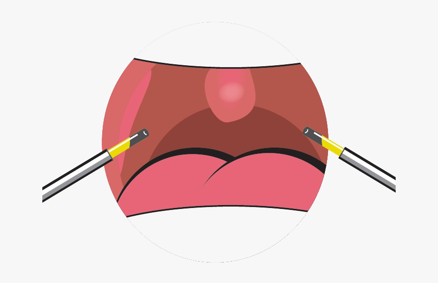 Cryptolysis Png, Transparent Clipart