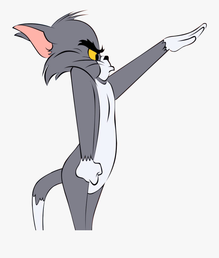 Star Fox Png Transparent Image, Transparent Clipart