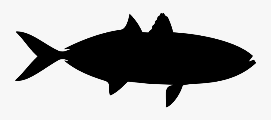 Fish, Silhouette, Tropical, Sea Creatures, Under Water - Silhouette, Transparent Clipart