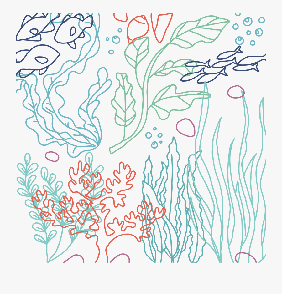 Banner Free Download Graphic Design Bottom Transprent - Dibujo Alga Fondo Transparebte, Transparent Clipart