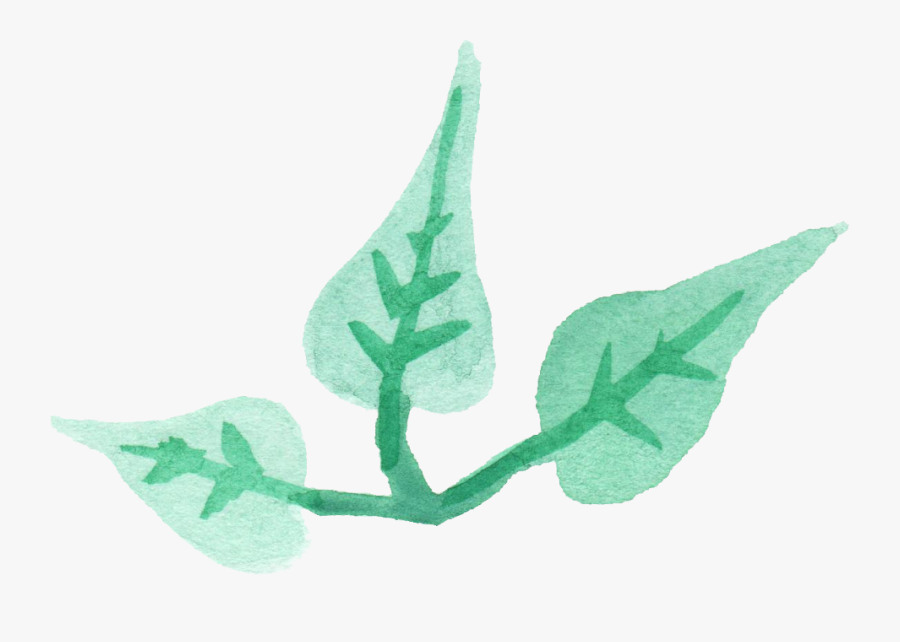 Leaf Png Transparent - Hojas Turquesas Png, Transparent Clipart