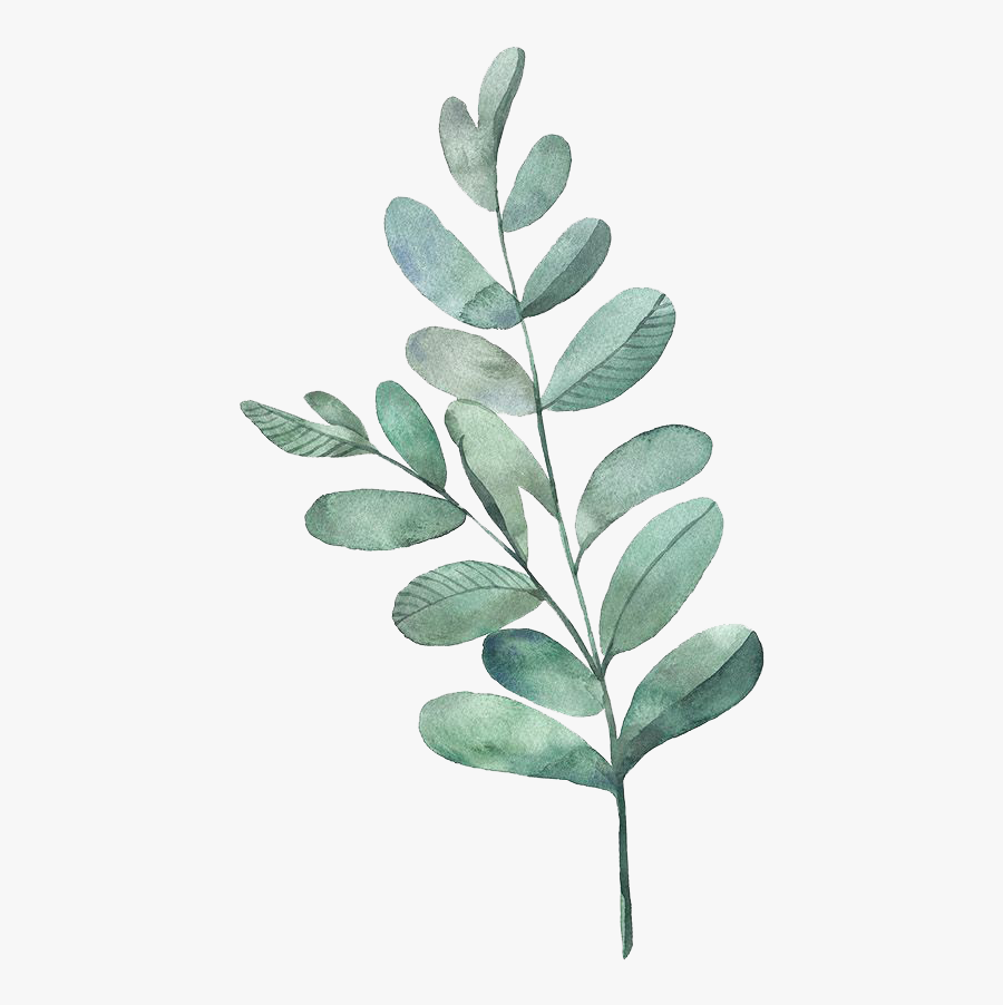 Watercolor Painting Leaf Illustration Watercolor Leaves - Watercolor Leaves Transparent Background, Transparent Clipart