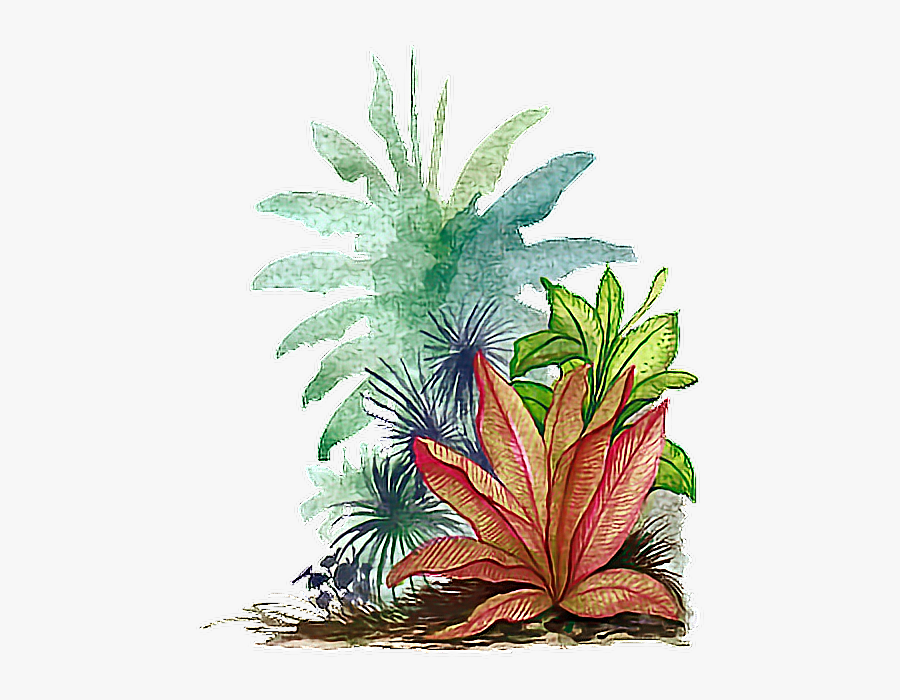 #watercolor #leaves #tropical - Watercolor Leaves Tropical Png, Transparent Clipart