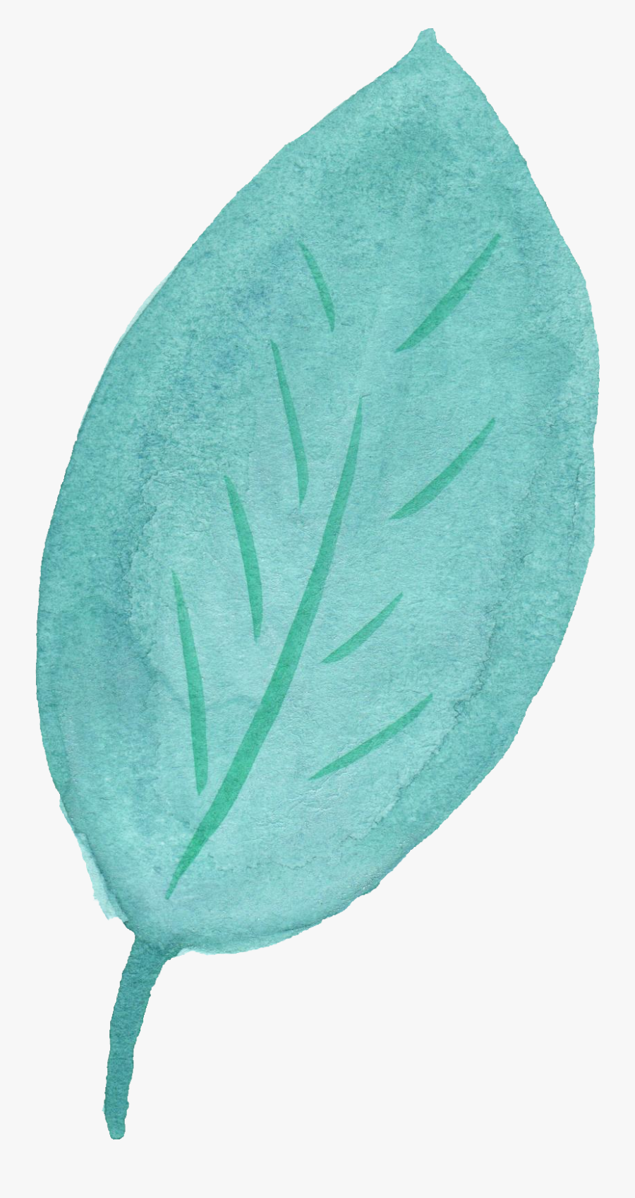 Leaf Water Color Png Transparent Background, Transparent Clipart