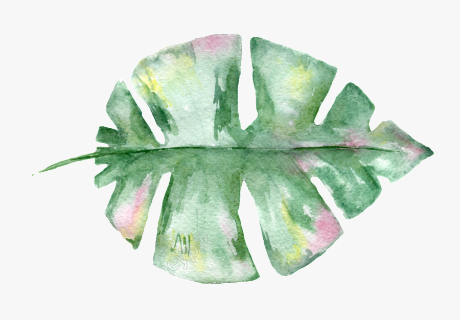 Hand Painted Leaf Material Free Download - Transparent Watercolor Leaf Png, Transparent Clipart