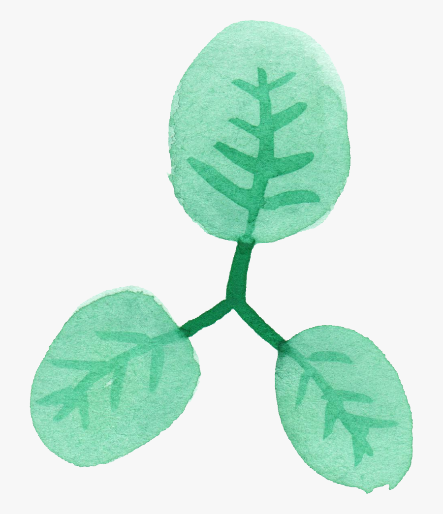 Illustration, Transparent Clipart