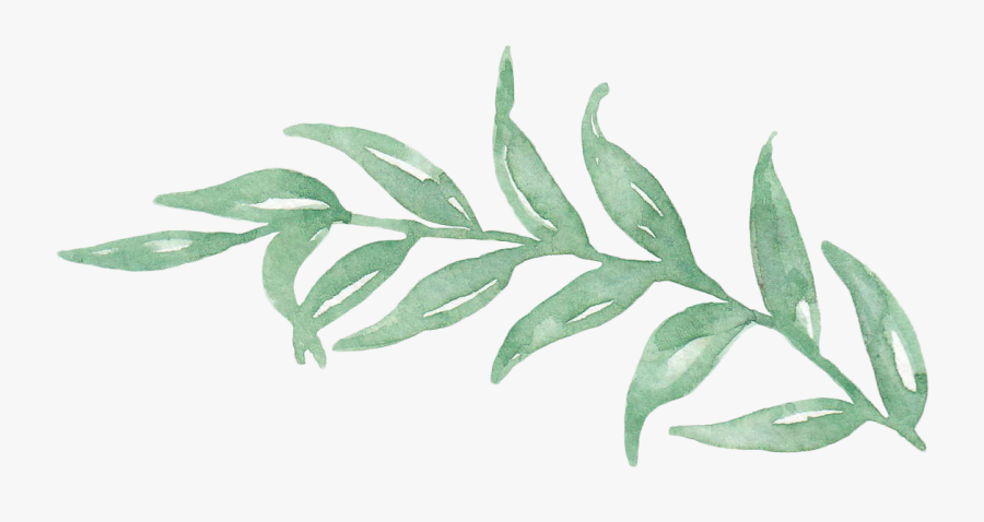 Clip Art Collection Of Free Transparent - Green Leaf Watercolor Png, Transparent Clipart